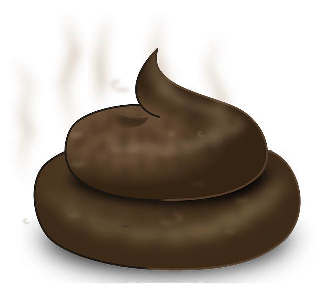 image of poop